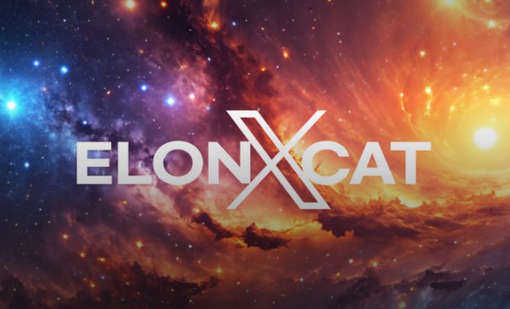 How ELONXCAT is Breaking Barriers with Multi-Chain Integration and Zero Gas Fees