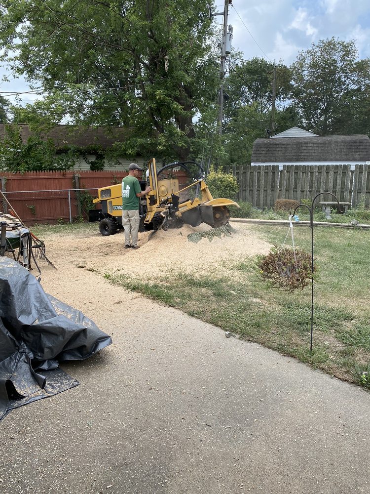 Professional Lawn Care Services in West Chester